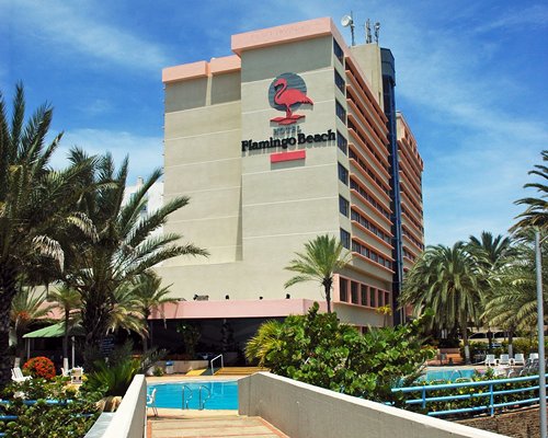 Flamingo Beach Hotel #6865