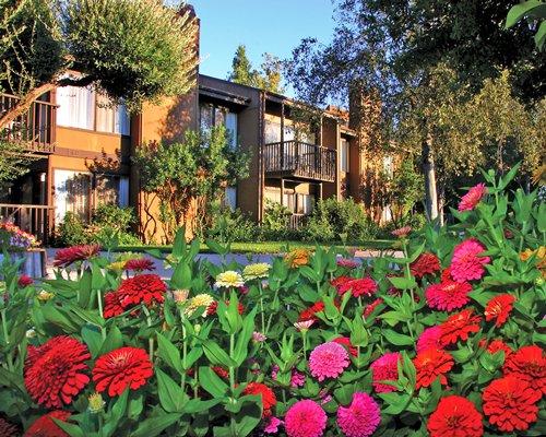 Sapphire Resorts @ San Diego Country Estates #C211