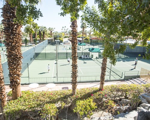 Palm Springs Tennis Club #0508 - фото