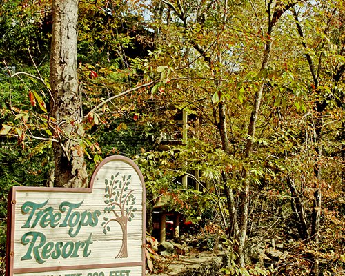Tree Tops Resort #2208 - фото
