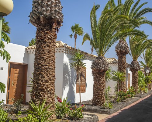 Royal Tenerife Country Club by Diamond Resorts #3061
