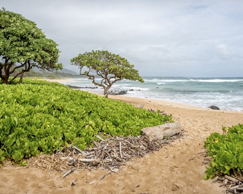Kauai Beach Villas #3681 - фото