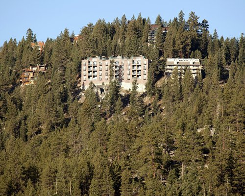 The Ridge Sierra #5132 - фото