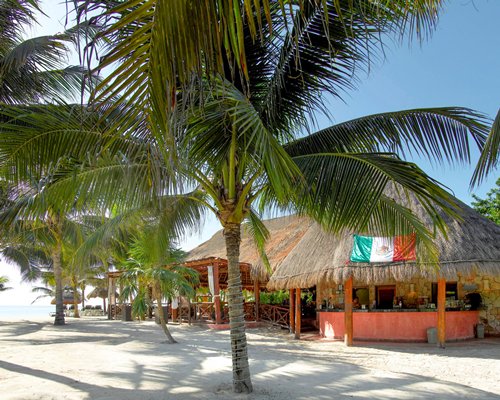 Grand Palladium Kantenah Resort & Spa at Riviera Maya #C255 - фото