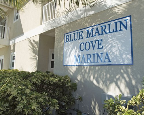 Blue Marlin Cove #D749 - фото