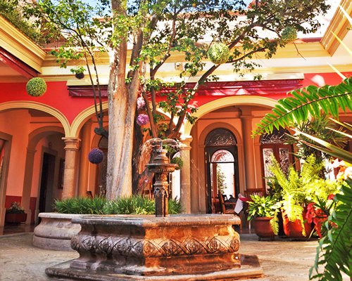 Gran Casa Sayula Hotel Galeria Spa #D761 - фото