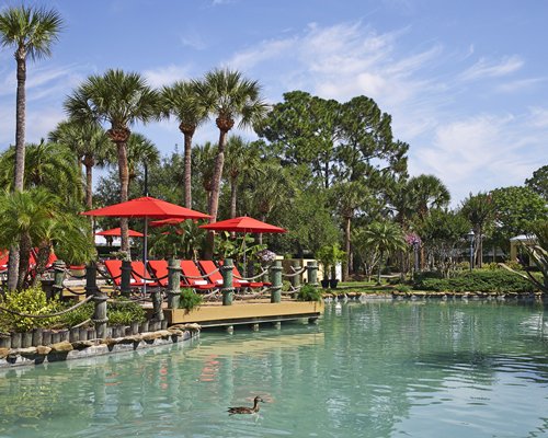 Wyndham Orlando Resort #RF94 - фото