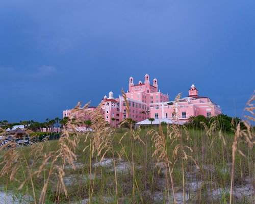 The Don CeSar #RQ17 - фото
